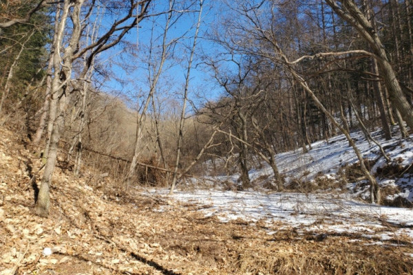 경북 상주 땅매매 토지매매 밭매매 임야매매 귀농귀촌