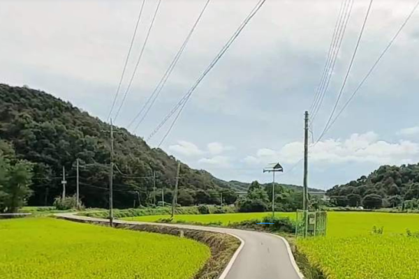 세종 시골집임대 촌집임대 농가주택임대 시골빈집임대 농촌빈집은행 5도2촌 귀농귀촌