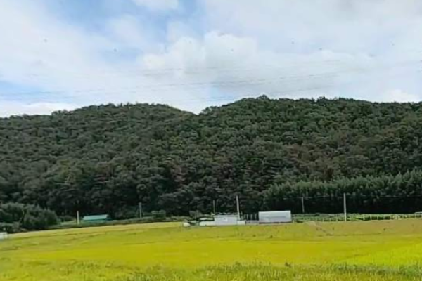 울산 시골집임대 촌집임대 농가주택임대 시골빈집임대 농촌빈집은행 귀농귀촌 5도2촌