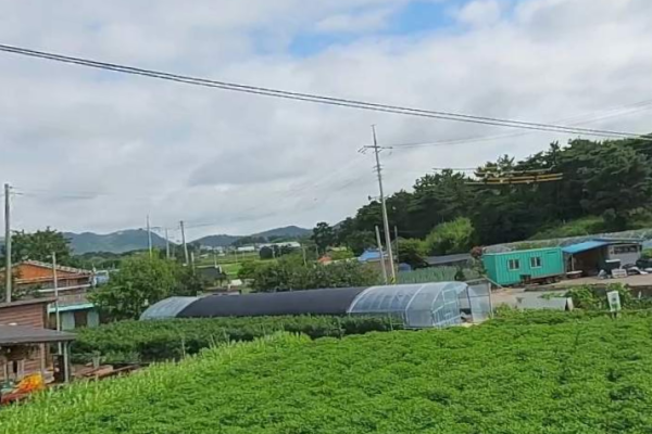 전북 고창 시골집임대 촌집임대 농가주택임대 시골빈집임대 농촌빈집은행 귀농귀촌 5도2촌