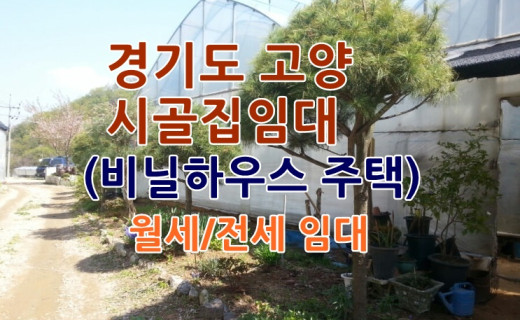 시골집임대-경기도 고양 시골집 비닐하우스 주택 촌집임대 농가주택임대 시골빈집임대 농촌빈집 정보 매물 귀농귀촌 5도2촌 전세임대 농촌 빈집은행 빈집플랫폼 빈집현황 …