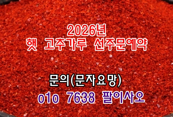 2026년 햇 건고추 고추가루 고춧가루 시세 가격 값 판매 구입 주문 예약